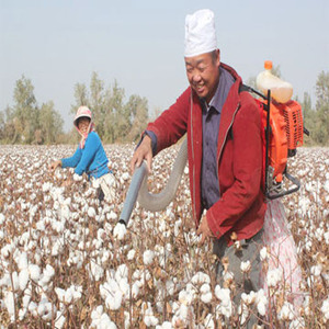 Cosechadora <span class=keywords><strong>de</strong></span> Algodón <span class=keywords><strong>de</strong></span> Alta Eficiencia para la Recolección <span class=keywords><strong>de</strong></span> Algodón - Product Image 5