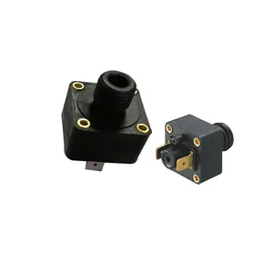 1/4 1/8 G12 G14wall-mounted stove hydraulic sor pressure switch water