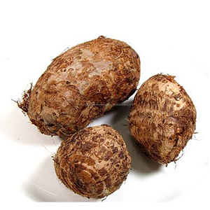 Frais <span class=keywords><strong>Taro</strong></span> <span class=keywords><strong>Racine</strong></span> 60g up Prix À L'exportation 7 kg/maille sac en Chine - Product Image 5