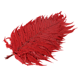 보존 된 자연 영원한 식물 보존 된 큰 고사리 잎 큰 녹색 잎 식물 - Product Image 5