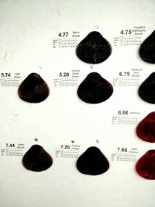 A base di erbe Nessun Ammoniaca e No Ppd Professionale del Salone Tinture Per Capelli <span class=keywords><strong>Crema</strong></span>/<span class=keywords><strong>Crema</strong></span> di Colore dei capelli di Uso del Salone Permanente Naturale Basso ammoniaca 100 Ml - Product Image 5