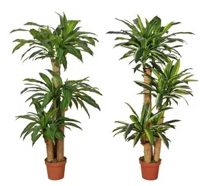 Offre Spéciale faux plant De Maïs Draceaena Fragrans Dracaena Artificiel angustifo d'arbre en plastique pour la décoration de maison et de bureau