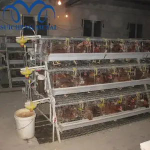 2024 Guangzhou usine cage à poulet batterie cages poules pondeuses volaille à vendre