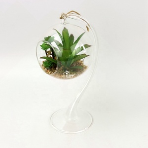 <span class=keywords><strong>Verre</strong></span> <span class=keywords><strong>Suspendue</strong></span> <span class=keywords><strong>Boule</strong></span> Vase Terrarium Conteneur Avec <span class=keywords><strong>Plante</strong></span> Succulente Artificielle Pour La Maison Ou Le Jardin Ornement - Product Image 2