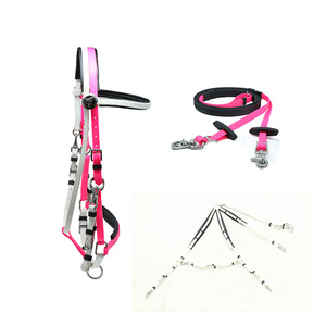 Le briglie di resistenza multicolore - Product Image 1