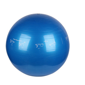 <span class=keywords><strong>Physio</strong></span> sfera di esercizi di nascita palla esercizio sfera di ginnastica - Product Image 4