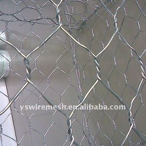 镀锌鸡丝网/六角网/家禽六角网 - Product Image 3