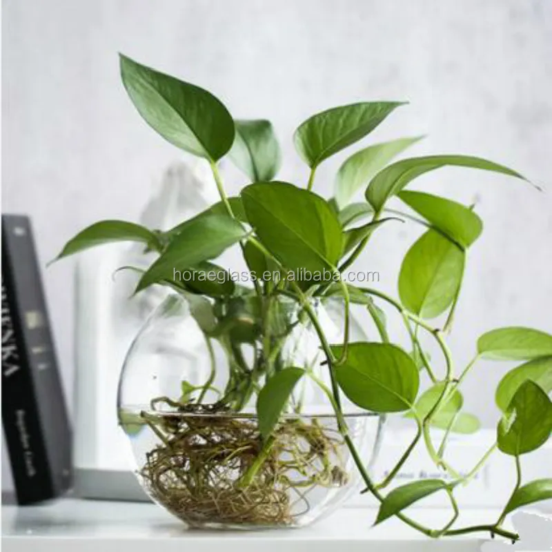 Europäische kreative transparente Glasvase runde Wasser kultur Pflanze Blumentopf für Wohnzimmer