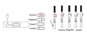 De alta precisión de virus de la <span class=keywords><strong>Hepatitis</strong></span> E IgM (GICA) HEV-M de prueba de diagnóstico rápido kit de prueba médica - Product Image 2
