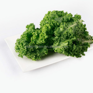 GMP alta calidad natural estándar Kale polvo - Product Image 2