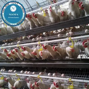 Venta al por mayor Kenia granja avícola jaula/jaula una capa tipo de malla de alambre soldado con autógena galvanizado jaula de pollo para la venta (Guangzhou de fábrica)