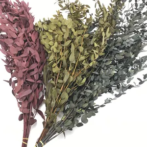 Last 3 Years Natural Flower Leaves Arrangement Dried Preserved Eucalyptus