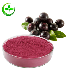 En kaliteli <span class=keywords><strong>Acai</strong></span> Berry özü 25% antosiyanin tozu - Product Image 2