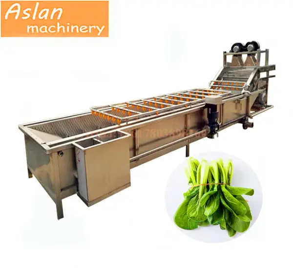 Broccoli cleaning washing machine/ tea leaf wasing drying machine/ Coriander vegetable cleaning line