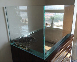 Oem Randloze Laag Ijzeren Glazen <span class=keywords><strong>Aquarium</strong></span> Landschapsarchitectuur <span class=keywords><strong>Aquarium</strong></span> - Product Image 3