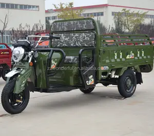 800 Wát Công Suất Động Cơ Đánh Giá Điện Cargo Ba Bánh với Fat Tire Ba Bánh Điện để Bán