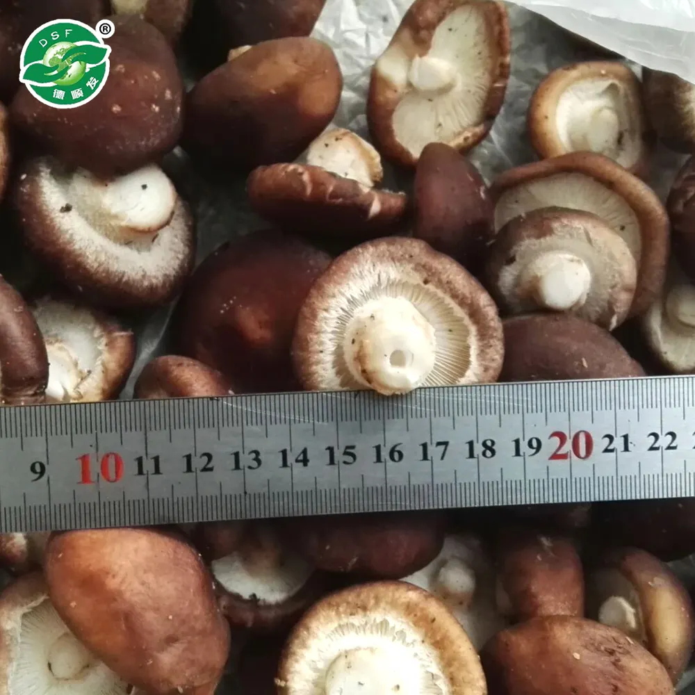 Uzun süre lezzetli dondurulmuş sebzeler ve taze shiitake mantarları sağlayabilir