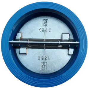 DN 40 1,5 pulgadas cuerpo de hierro fundido disco de hierro dúctil ss304 de acero inoxidable madre asiento de goma Tipo Simple válvula de retención