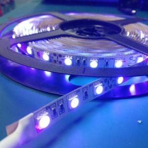 Nhà Máy Thâm Quyến 5050 UV Ánh Sáng Đen <span class=keywords><strong>Led</strong></span> Strip 395-400nm - Product Image 4