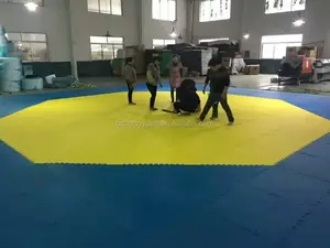Arts martiaux Taekwondo tatami tapis karaté tatami tapis imbriqués pour Karaté Judo MMA Bjj Gi lutte