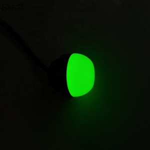 50มม.IP69K 12V 24V 220V อุตสาหกรรมไฟแสดงสถานะ - Product Image 2