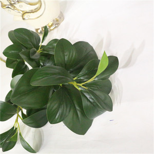 ประดิษฐ์ 3 ส้อมยาวสาขา Bean Flap <span class=keywords><strong>Leaf</strong></span> สำหรับ Home Garden ตกแต่งฉาก <span class=keywords><strong>Leaf</strong></span> อุปกรณ์เสริม - Product Image 3