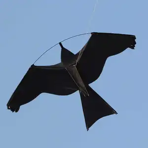高品质的风筝风筝鸟吓唬鹰风筝