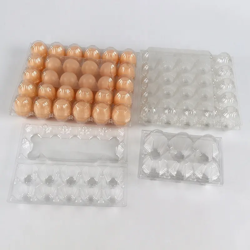 Caja Rectangular transparente de 12 celdas para huevos, bandeja de plástico para mascotas