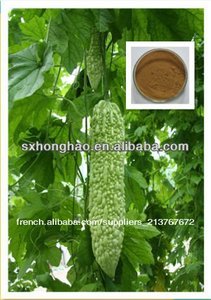 100% naturel 10% charantin melon amer extrait - Product Image 1