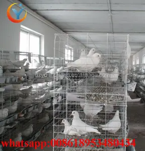 Bán buôn kim loại pigeon hai lớp lồng Chim Bồ Câu cage với Pigeon Tổ Bát
