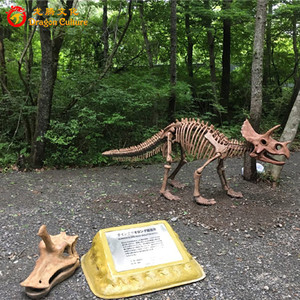 Dinosaure parc pièce pas cher stégosaure dinosaure fossiles modèle répliques - Product Image 2