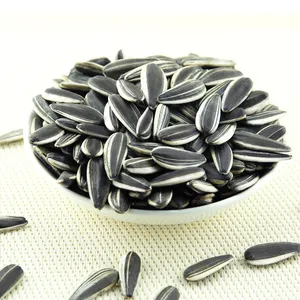 China Non GMO Hybrid Mega Bulk Large Size sunflower seeds