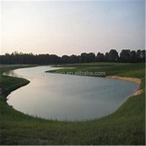 Trung Quốc <span class=keywords><strong>Geomembrane</strong></span> Nhà Sản Xuất Chống Thấm Nhựa Fish Pond Liner <span class=keywords><strong>Hdpe</strong></span> Màng Địa Kỹ Thuật 0.3Mm-3Mm Phim Lót - Product Image 5