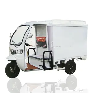 Express Delivery 48v 60v Advertising Body Type Carrier Tricycle Transport Use Electric Tricycles