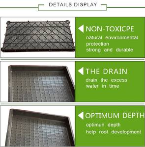 600*300mm Size plastic zaailingenplateau voor rijstveld zaad nursery zaaien - Product Image 6