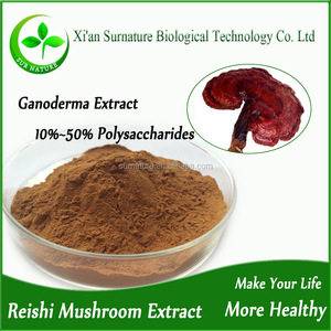 순수 추출물 영지, 영지 버섯 분말 - Product Image 3