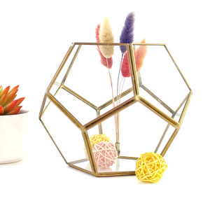 Commercio all'ingrosso di Vetro irregolare oro geometrica Terrario per tavolo di piante succulente planter - Product Image 5