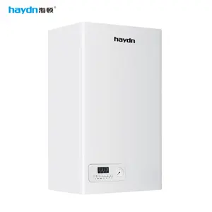 غلاية معلقة على الحائط بالغاز فعالة من حيث التكلفة مع تشطيب أنيق - Product Image 1