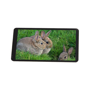 Pantalla AMOLED de 5.5 pulgadas 4K, pantalla <span class=keywords><strong>OLED</strong></span> Full HD en India, <span class=keywords><strong>panel</strong></span> <span class=keywords><strong>LCD</strong></span>, pantalla <span class=keywords><strong>LCD</strong></span>, pantalla <span class=keywords><strong>LCD</strong></span> - Product Image 4