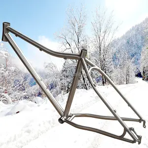 Hot Sale Titan Fat Bike Rahmen Snowbike Rahmen 26er x 4.8 Reifen begehrte Fat Bike