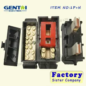 low voltage cut out fuse 60A 80A 100A 1P+N SPN PN cutout Fuse