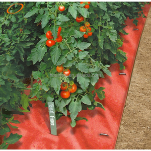 Lớp phủ nhà sản xuất cung cấp nông nghiệp màu đỏ lớp phủ bộ phim nhựa, lớp phủ phim cho dâu tây - Product Image 3