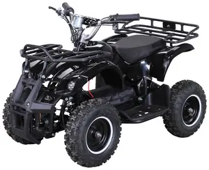 חשמלי מיני טרקטורונים/quad לילדים עם CE 500 w 800 w