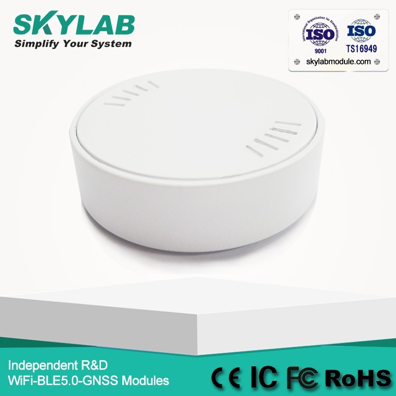 SKYLAB Faible Coût VG01 Programmable UUID/Grands/Mineur nRF51822 Petit Bluetooth Balise Récepteur
