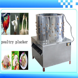 TM60 Très populaire volaille plucker/<span class=keywords><strong>Poulet</strong></span> plucker avec doigts/à <span class=keywords><strong>plumage</strong></span> de <span class=keywords><strong>poulet</strong></span> machine - Product Image 1