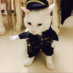 2019 vendita calda divertente cane gatto polizia costume vestiti pet moda decorazione Halloween natale compleanno pet dog cat polic costume - Product Image 4