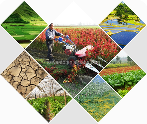 Máquina Cosechadora de Trigo Bcs <span class=keywords><strong>622</strong></span> con Precio de Fábrica - Product Image 4