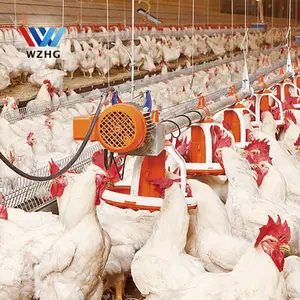 Tanzania lowes自動制御床給餌事業開始家禽養鶏場設計