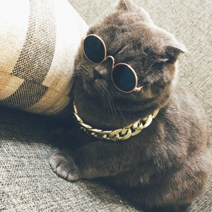 Collier de <span class=keywords><strong>chien</strong></span> charmant et cool en plastique plaqué or, collier de chaîne de luxe, accessoires pour animaux de compagnie, collier pour chiens et chats, vente en gros - Product Image 2