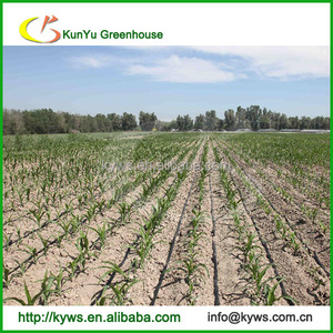 Cinta agrícola <span class=keywords><strong>Riego</strong></span> por goteo Cinta <span class=keywords><strong>de</strong></span> goteo agrícola <span class=keywords><strong>para</strong></span> <span class=keywords><strong>sistema</strong></span> <span class=keywords><strong>de</strong></span> <span class=keywords><strong>riego</strong></span> <span class=keywords><strong>de</strong></span> <span class=keywords><strong>invernadero</strong></span> - Product Image 6